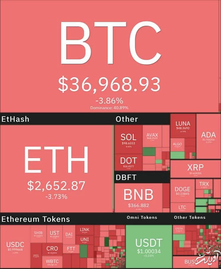 WhatsApp Image 2022-02-03 at 9.37.25 AM